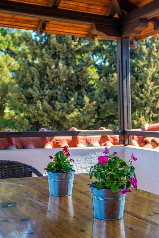 Georgalas Sun Beach Rooms Nea Kallikrateia Exterior photo
